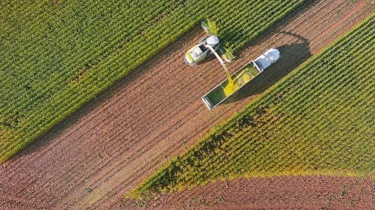 Vylor, Rainbow Crops join hands to develop climate-resilient corn using AI and gene editing